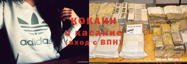 ПСИЛОЦИБИНОВЫЕ ГРИБЫ Ельня