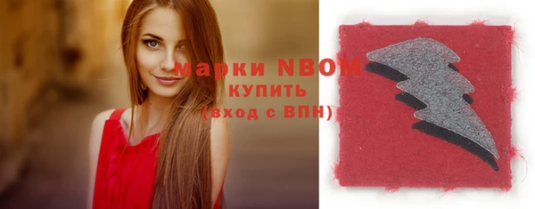 ПСИЛОЦИБИНОВЫЕ ГРИБЫ Ельня