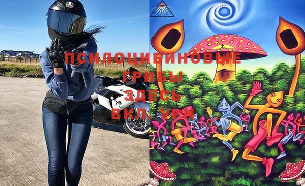 ПСИЛОЦИБИНОВЫЕ ГРИБЫ Ельня