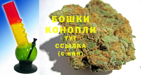 ПСИЛОЦИБИНОВЫЕ ГРИБЫ Ельня