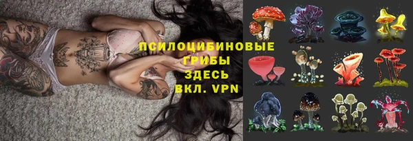 прущая мука Елизово