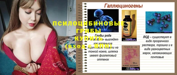 ПСИЛОЦИБИНОВЫЕ ГРИБЫ Ельня